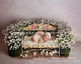 Digital Background Backdrop Newborn Photography Unique - A Princess bench with Daisies - High Resolution JPG file