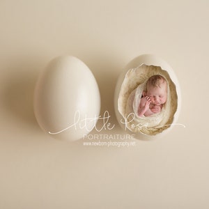 Little Pose Egg Newborn Digital Background High Res jpg file image 1