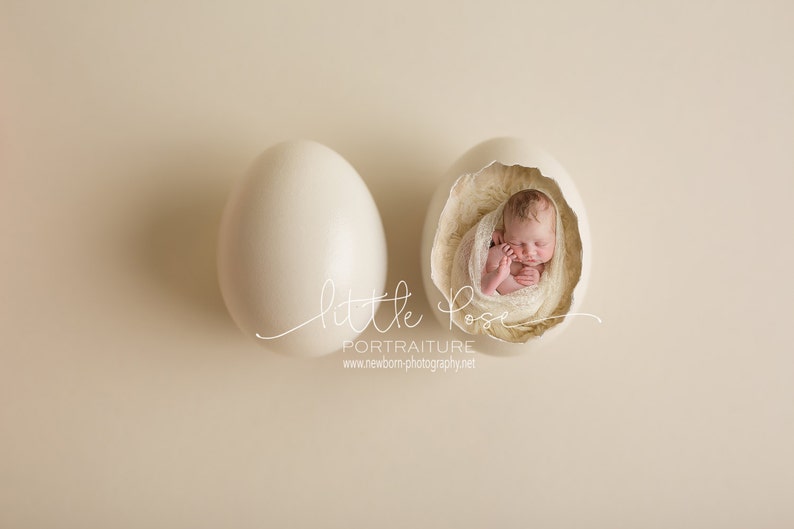 Little Pose Egg Newborn Digital Background High Res jpg file image 1