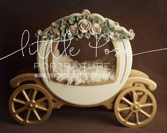 Little Pose ~ Carriage Cream Floral Digital Background High Res jpg file