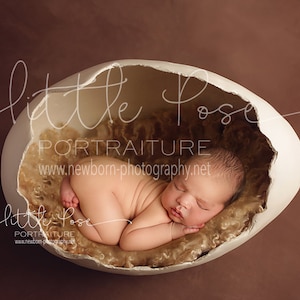 Little Pose ~ Egg Brown Newborn Digital Background High Res jpg file