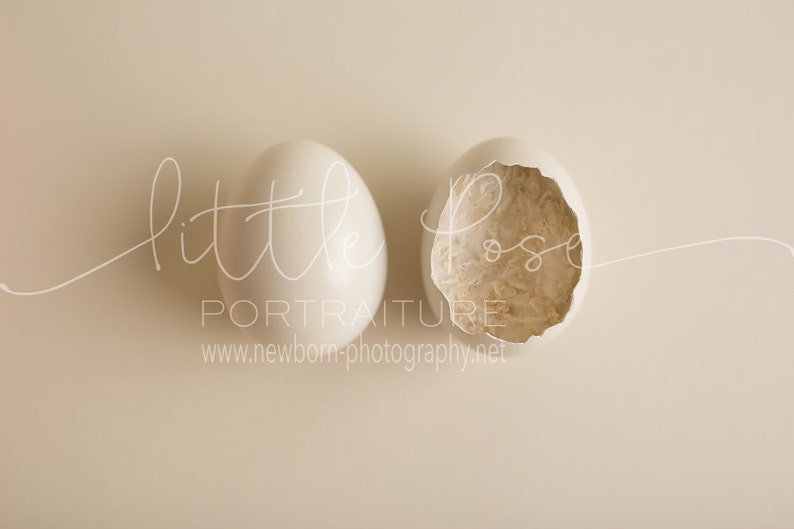 Little Pose Egg Newborn Digital Background High Res jpg file image 2