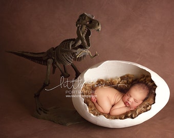 Little Pose Egg Dinosaur T Rex Brown Newborn Digital Background High Res Jpg File Etsy Singapore