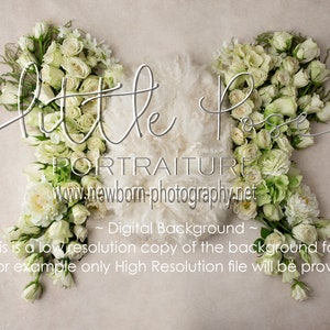 Newborn Digital Backdrop, Newborn Background, Newborn Composite, Fresh White Roses Curly Wool Newborn Digital Background High Res jpg file