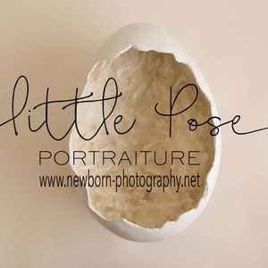 Digital Background Backdrop Newborn Photography Unique Egg Newborn Digital Background High Res jpg