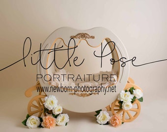 Little Pose ~ Carriage Flowers Newborn Digital Background High Res jpg file