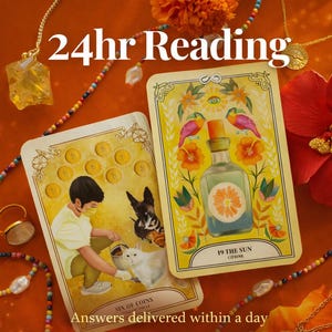 May include: An image featuring two tarot cards, one depicting a person with a cat and dog, and the other a bottle with a citrus design. The text "24hr Reading" and "Answers delivered within a day" are visible. The image is decorated with jewelry and flowers.