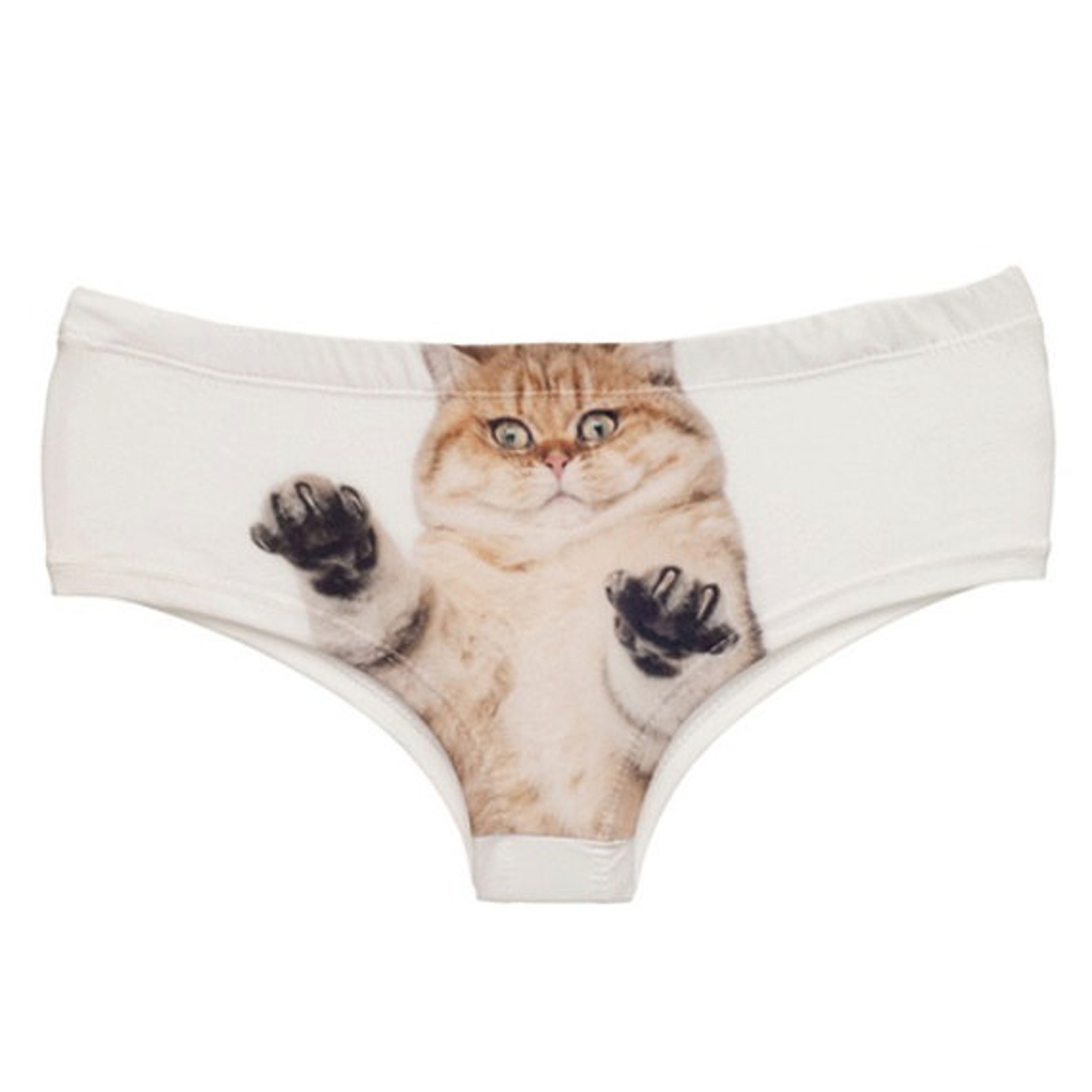 Scary Cat Panties Pussy Cat Underwear Hipster Panties Style Etsy