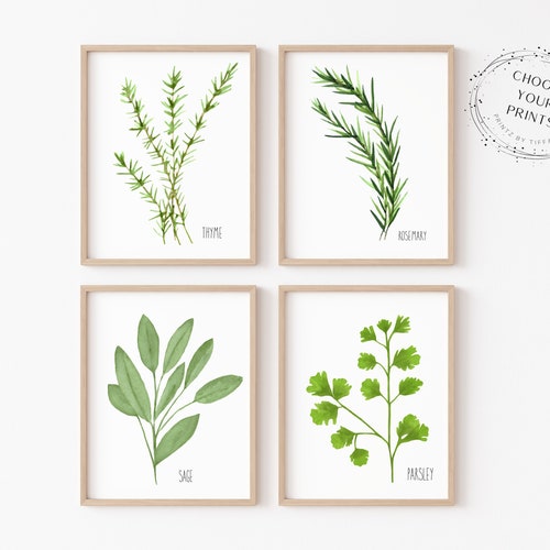 Herb Prints Set of 4 Plant Printable Wall Art Kitchen Wall - Etsy