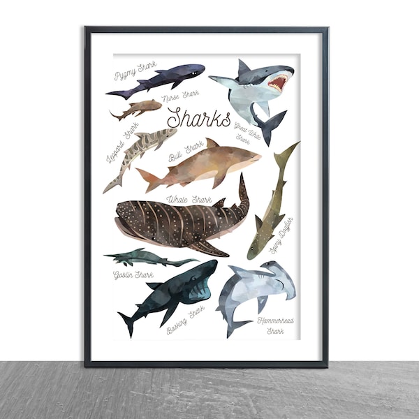 Shark Print- Labelled sharks of the world-watercolour illustration-sharks species-under the sea Ocean, children's home décor-kids playroom