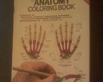 Anatomy Coloring Book