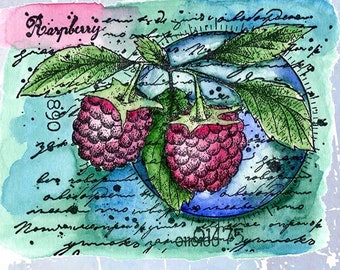 cardmaking stamp with fruit, rubber stamp for papercrafts scrapbooking and Journals UK crafts