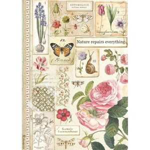 Botanisch en entomologisch rijstpapier van Stamperia met vintage veldnotitieboekje voor decoupage, upcycling en papercrafts