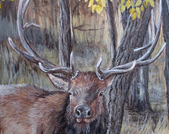 Elk in Aspens - Giclee Fine Art Print of Acrylic Painting