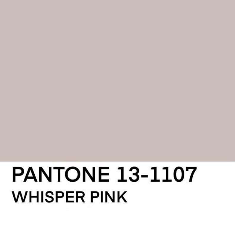 May include: Pantone color swatch showing the color Whisper Pink, a light, muted pink, with the Pantone color code 13-1107.
