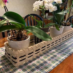 May include: Four white orchid plants in white pots are arranged in a woven basket with black accents. The basket is on a checkered table runner.