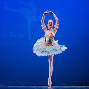 Odalisque Variation, La Corsaire, Professional Ballet Tutu, Classical Dance, Original Design Manufacturer, For the Stage