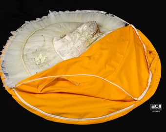 Tutu bag /20%Discount when ordering a ballet costume/ It was designed to help store, protect, and transfer of platter/35-40 inch Diameter