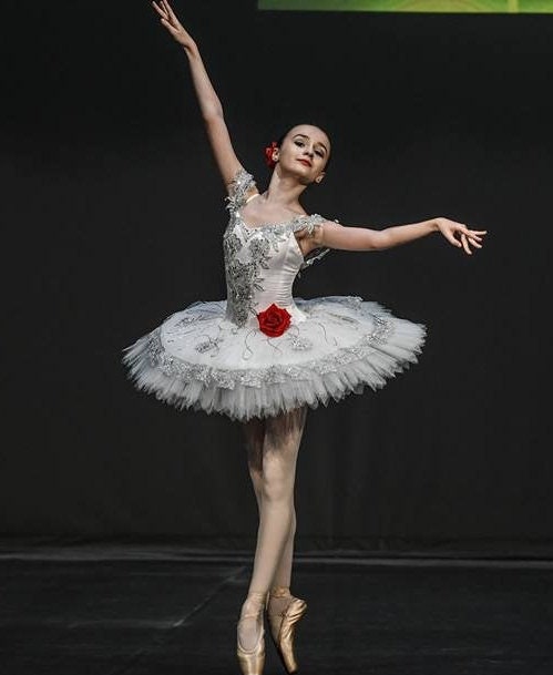 Professional Red La Esmeralda Soft Tulle Bell Pancake Ballet TuTu Cost –  UniqueBallet