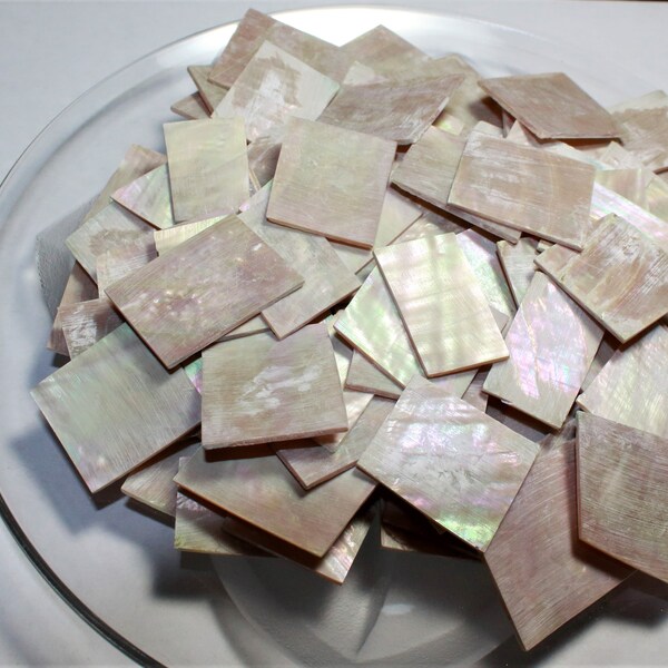 Abalone Blanks