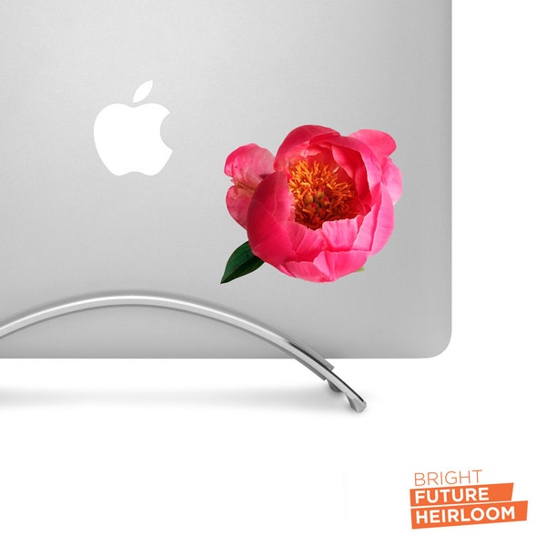 Pink Peony Flower - High-Quality Printed Vinyl Decal Aesthetic Stickers, Cool Car Decals or Laptop Stickers