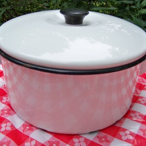 May include: White enamelware pot with a black rim and lid. The pot has a pink and white floral pattern. The pot is sitting on a red and white checkered tablecloth.