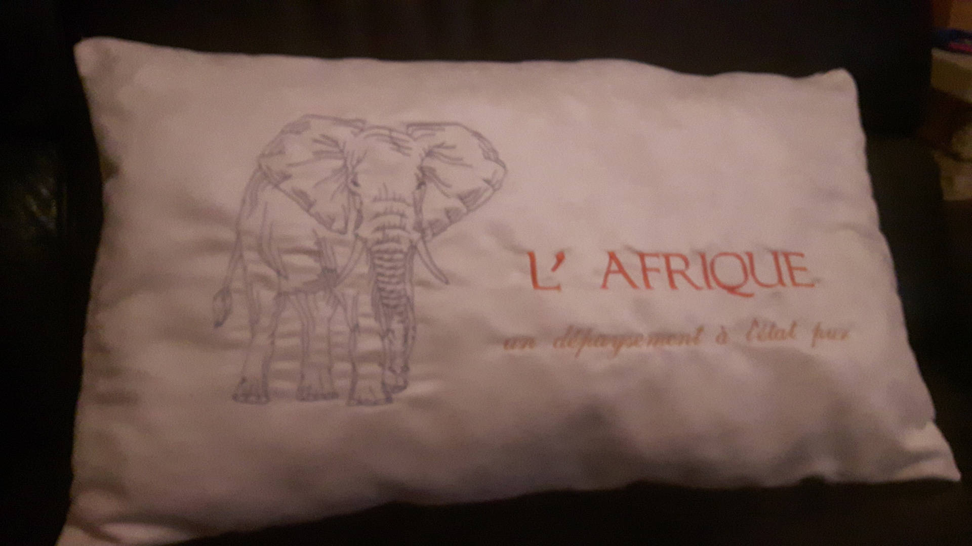 Coussin Afrique, Coussin Brodé Savane, Décoratif, Broderie Éléphant, Nature, Idée Cadeau Personnalis