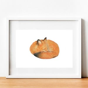 Fox Watercolour | Sleeping Baby Fox | Fox Cub Vixen Watercolour Painting | Home Nursery Study Living Decor | Canine