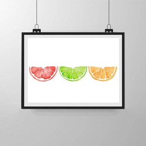 May include: A framed watercolor painting of three citrus fruit slices. The slices are arranged in a row from left to right: a grapefruit slice, a lime slice, and an orange slice.
