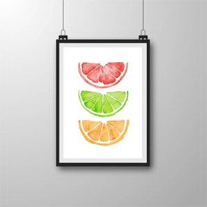 May include: A framed watercolor painting of three citrus fruit slices. The top slice is a grapefruit, the middle slice is a lime, and the bottom slice is an orange.