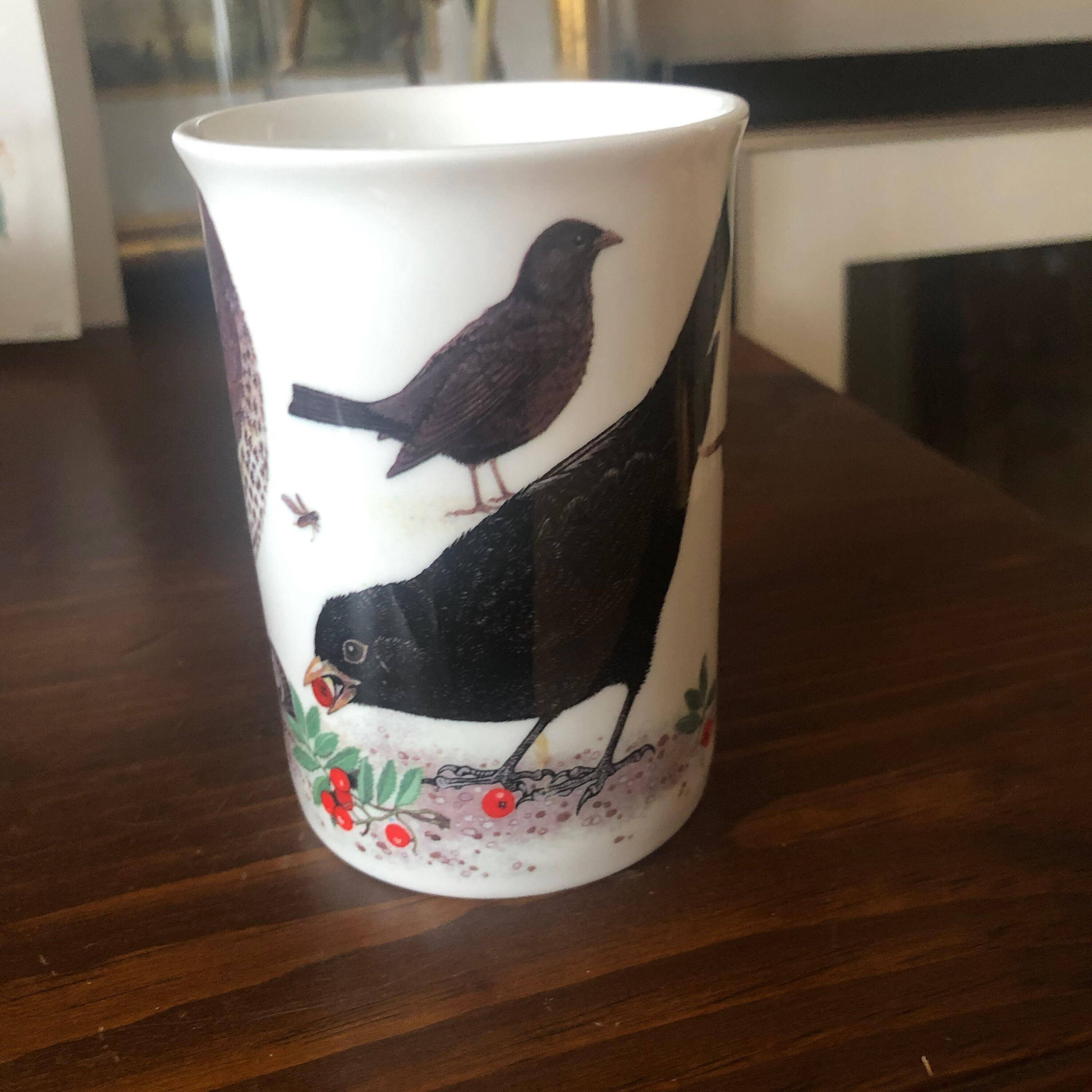 保存容器・ケース garden birds Roy kirkham england bone Garden Birds Fine Bone China Breakfast Cup and Saucer | Roy