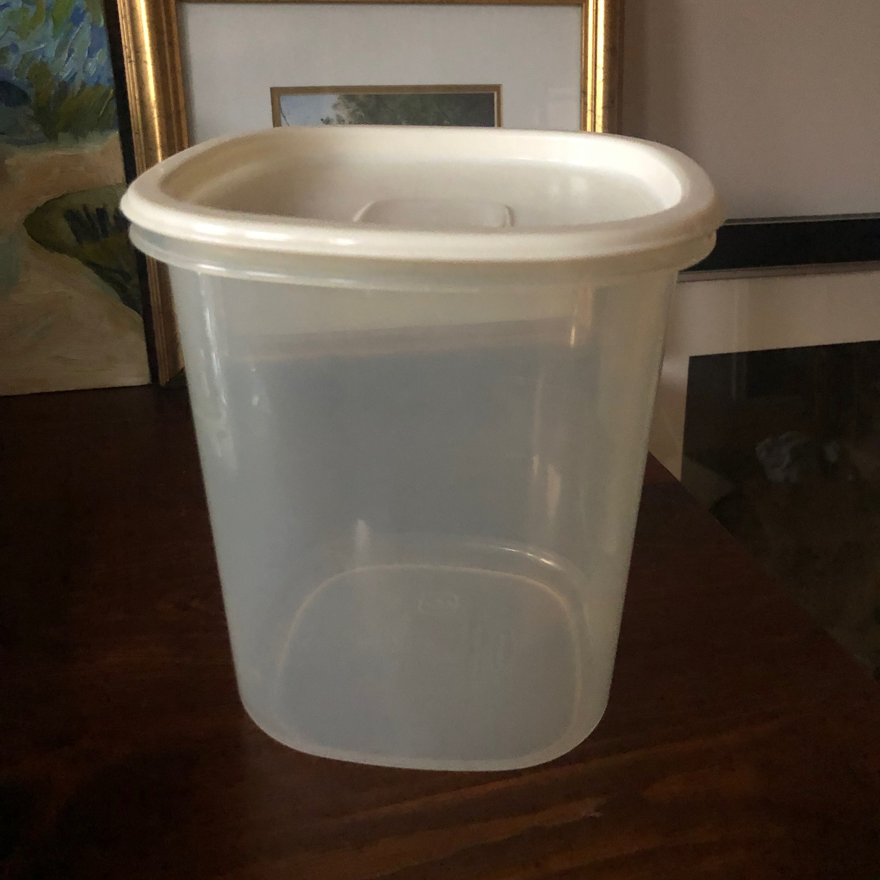  Rubbermaid Servin Saver Cake Keeper : Home & Kitchen