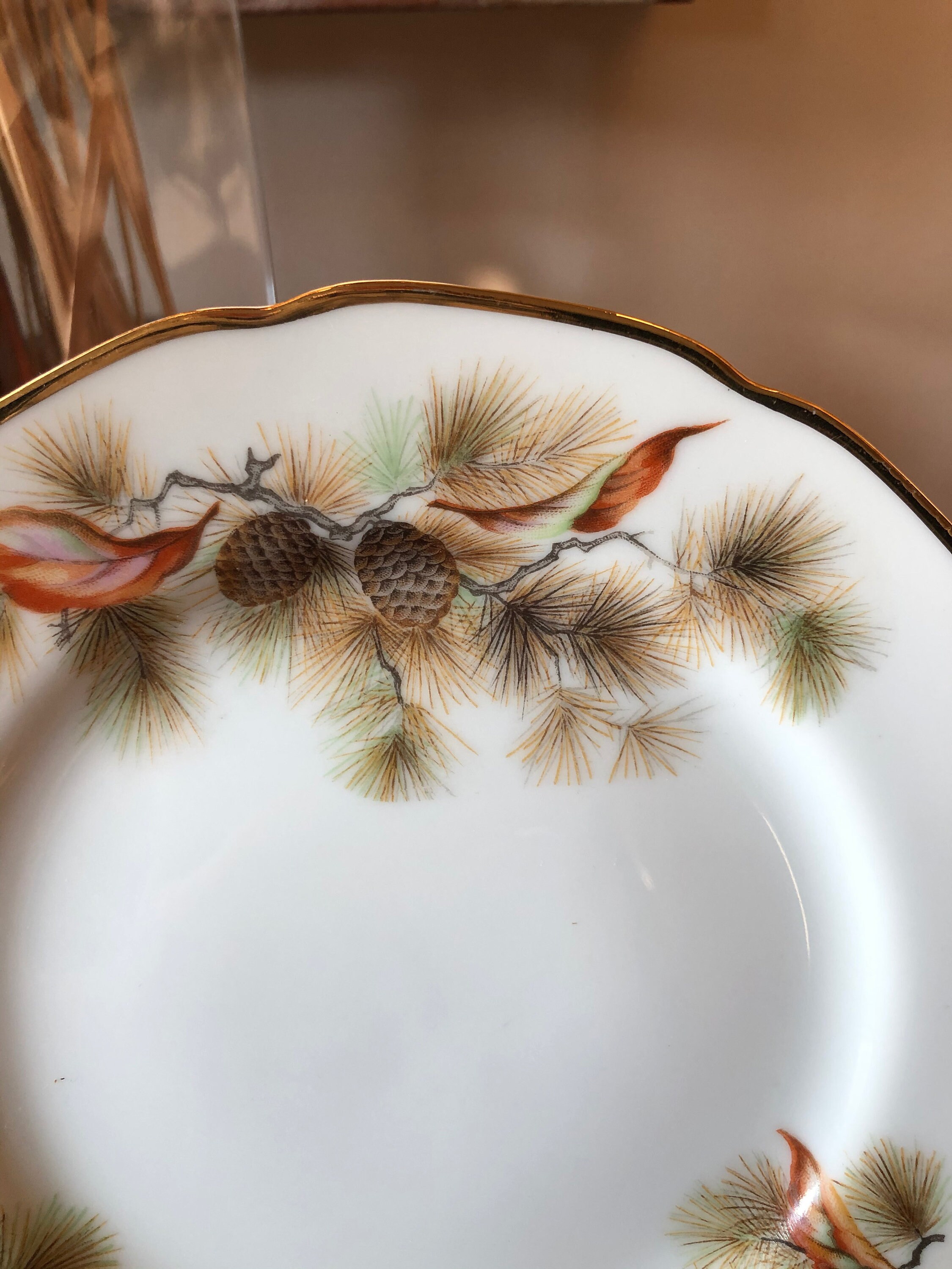 Pine Tree Translucent Japan Dinner Plate Etsy Australia