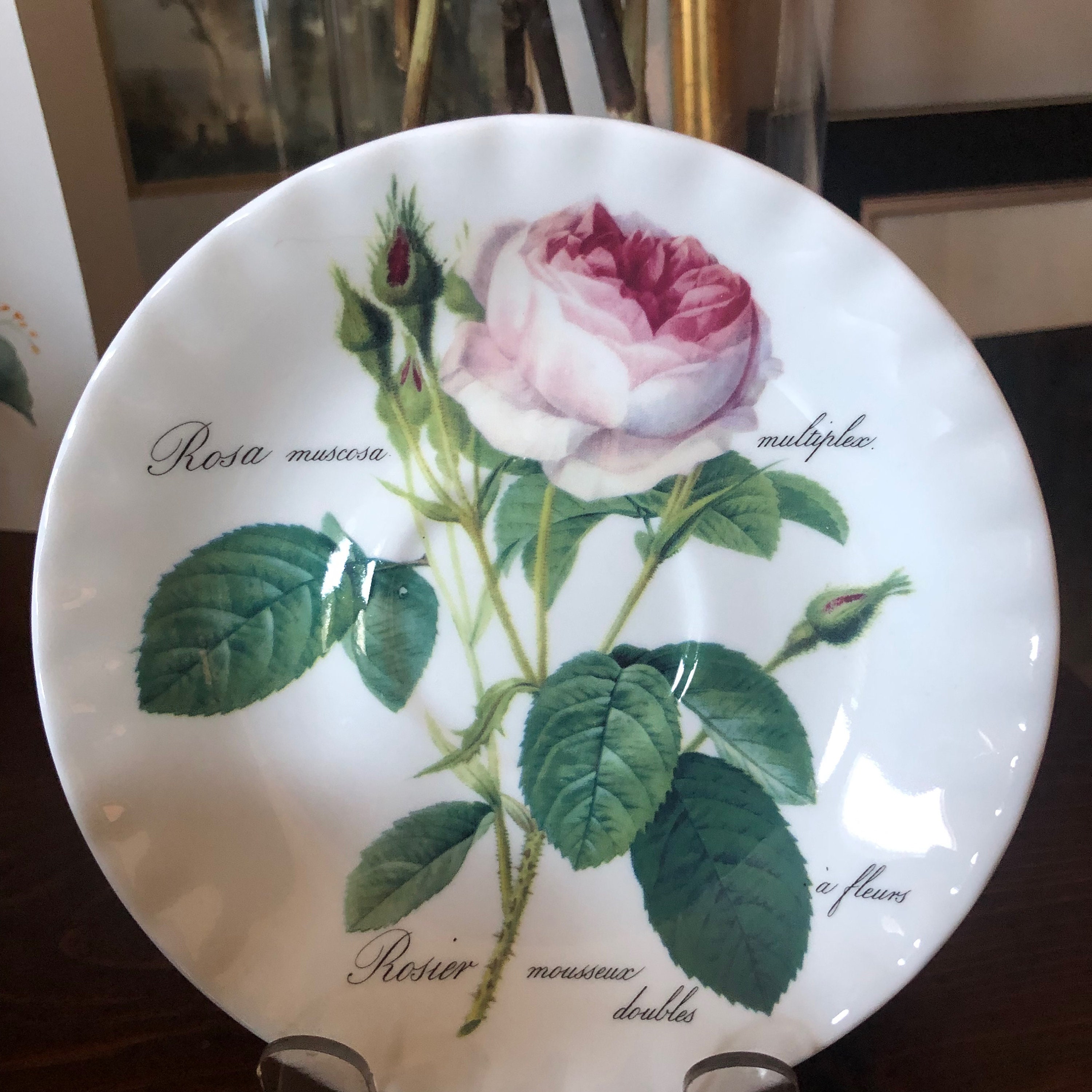 Tasse à thé chatsworth redoute rose - Roy Kirkham : Cadeaux souvenirs de  Lorraine
