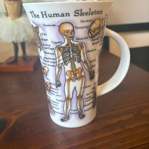 Dunoon The Human Body Fine Bone China Large Mug