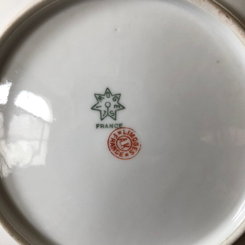 Antique Limoges AK France Hand Painted Porcelain Plate Etsy