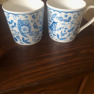 Rose of England Owl Bird Theme Set of 2 Mugs