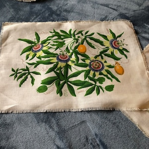 Vintage SB Linen Floral Placemats