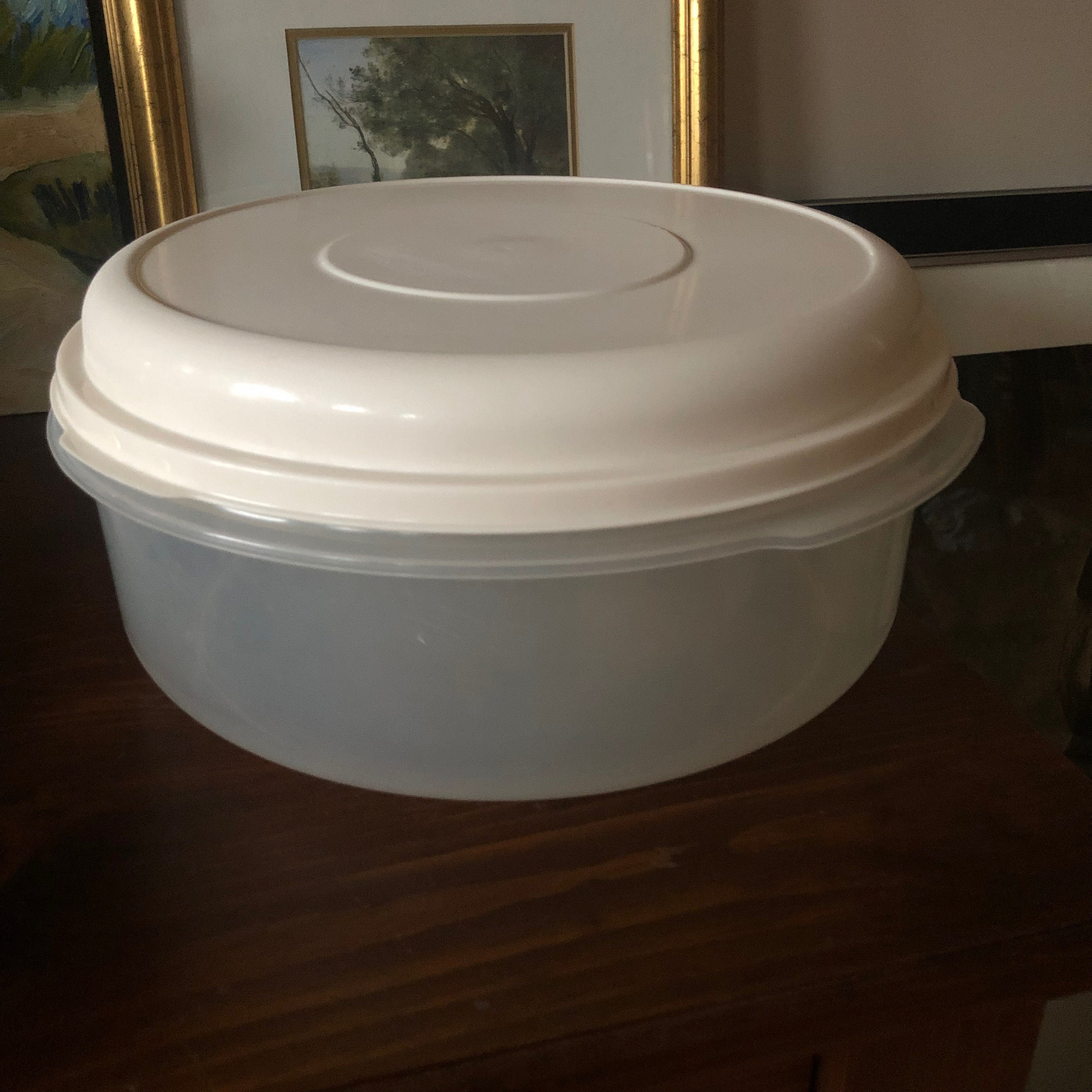 PICK ONE Vintage Rubbermaid Servin Saver Replacement Storage