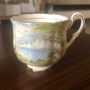 Vintage Paragon Cliffs of Dover Cup ONLY
