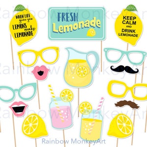 Lemonade Party Photo Booth Props: 23 Piece Printable Set (Digital Download)
