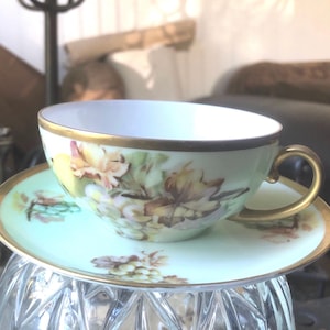 Antique Imperial Austria Hand Painted Teacup and Saucer