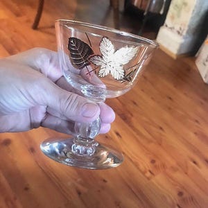 Set if 7 Libbey Coupe Glasses - Champagne Glasses - Gold Leaf