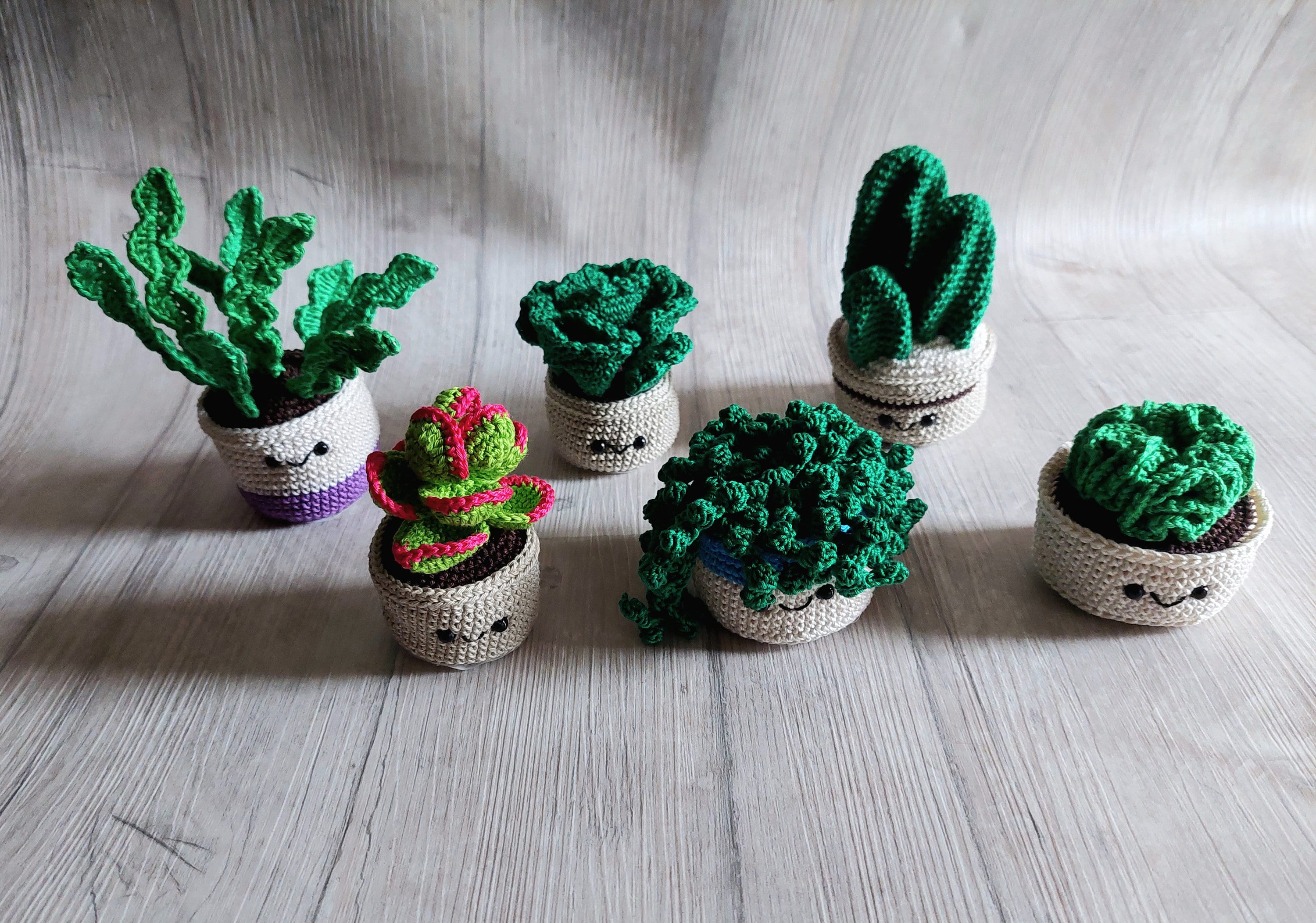 Amigurumi succulents, home decorations, succulents, unisex gift, party favors, placeholders