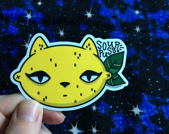 Sour Puss, Cute Cat, High Quality Vinyl Sticker