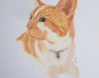 Dessin de portrait d'animal de compagnie