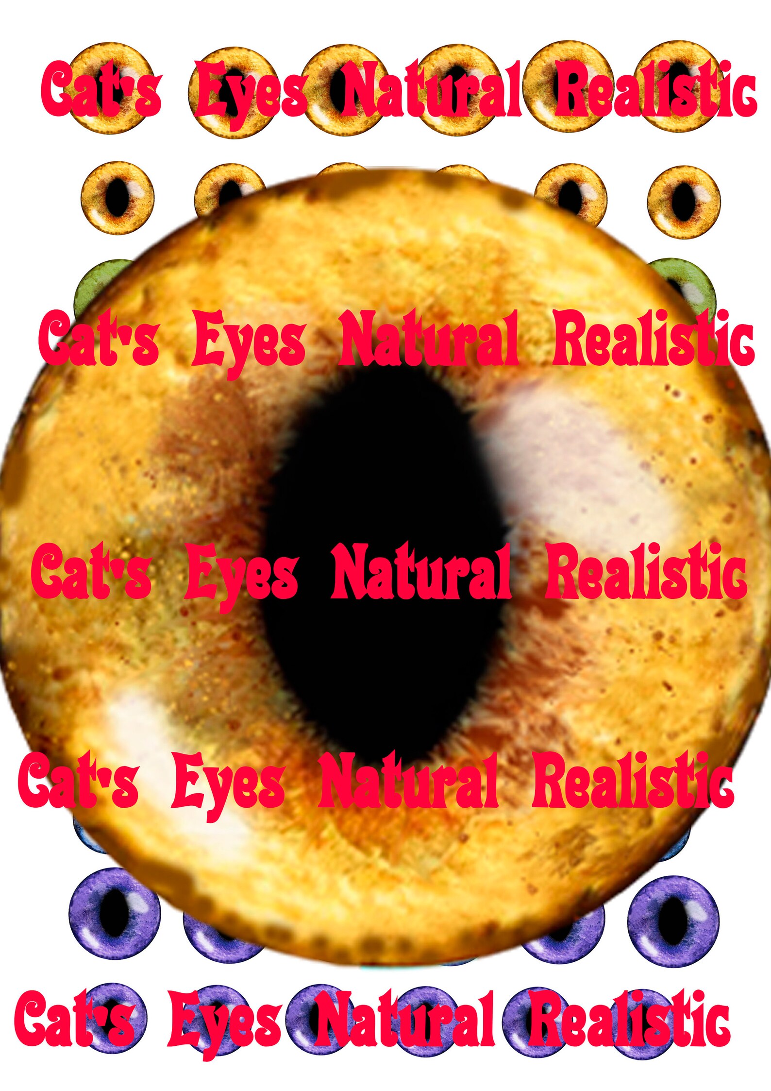 Cat's Eyes Natural Realistic Printable Animal Eyes Blue - Etsy