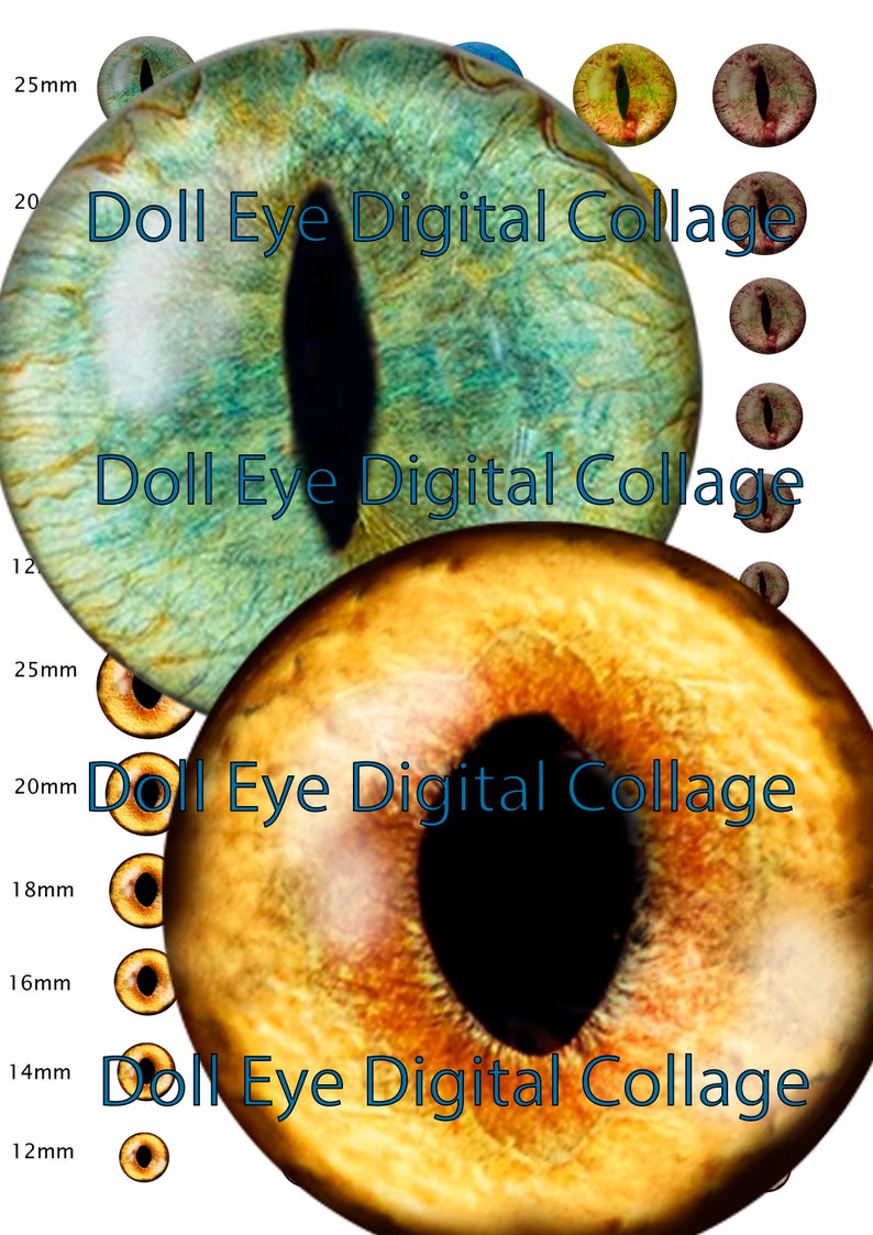 CAT EYES Printable Craft Circles Cats Eye Animal Eye Images - Etsy