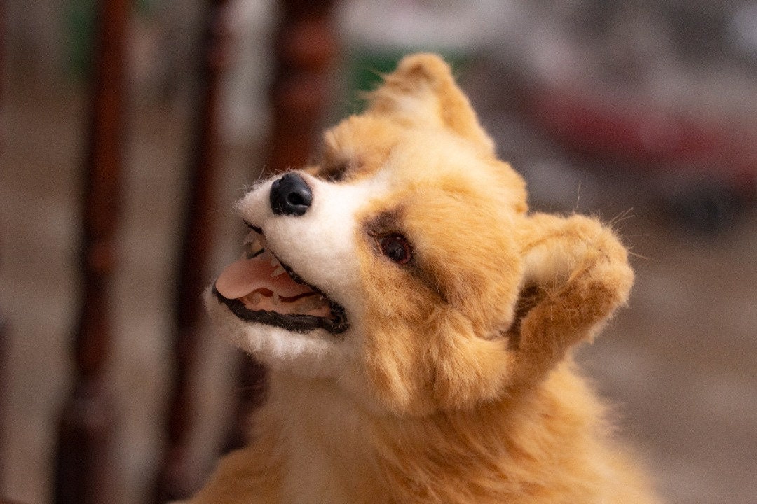 jindo stuffed animal