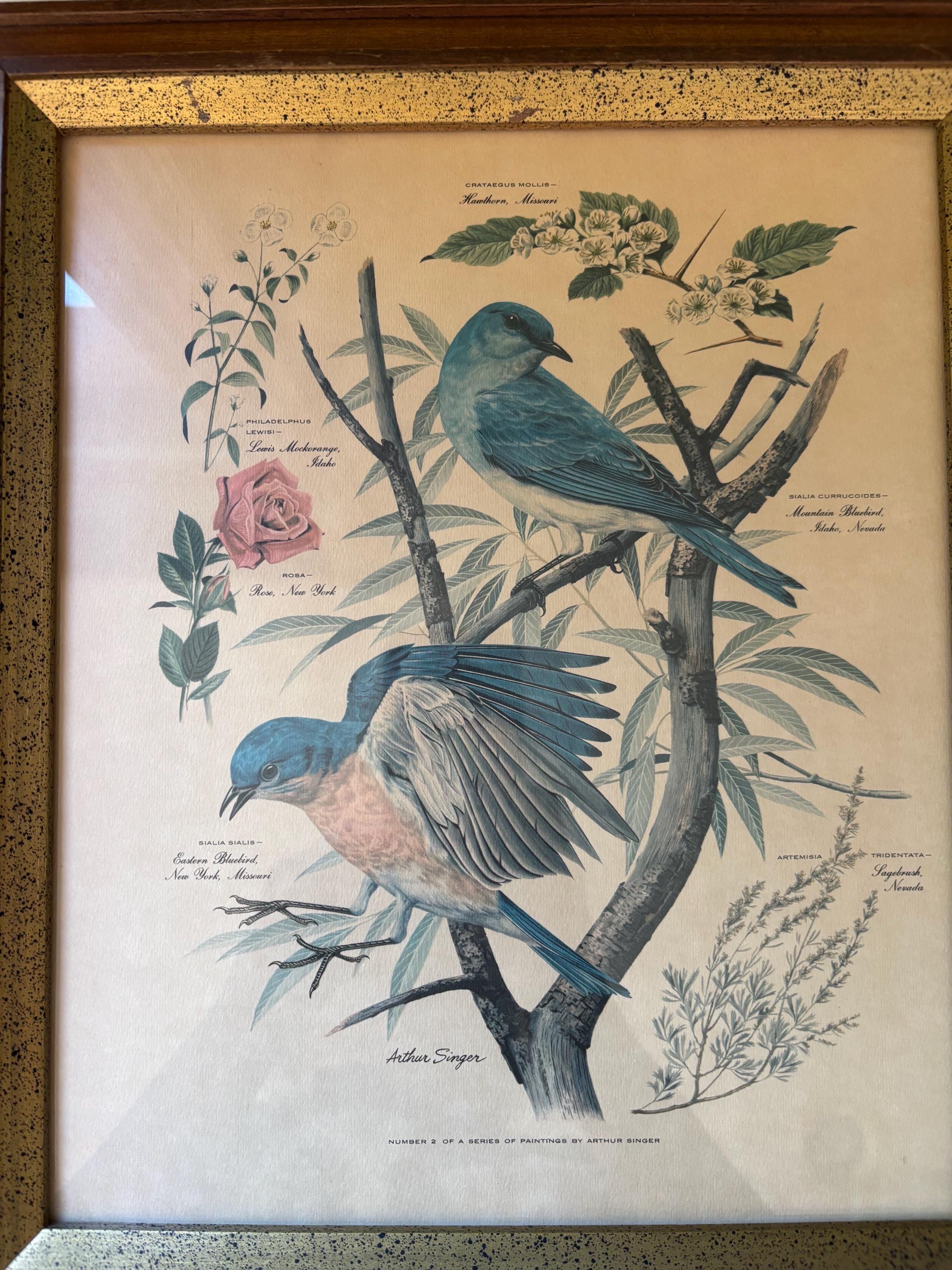 Arthur Singerアーサーシンガー！フラミンゴバレット。鳥のArtist Vintage Framed Arthur Singer Bird Print - Etsy